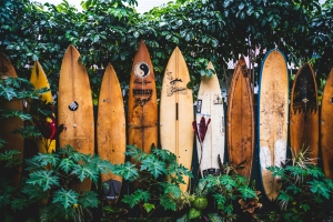 Surfing boards Surfing boards